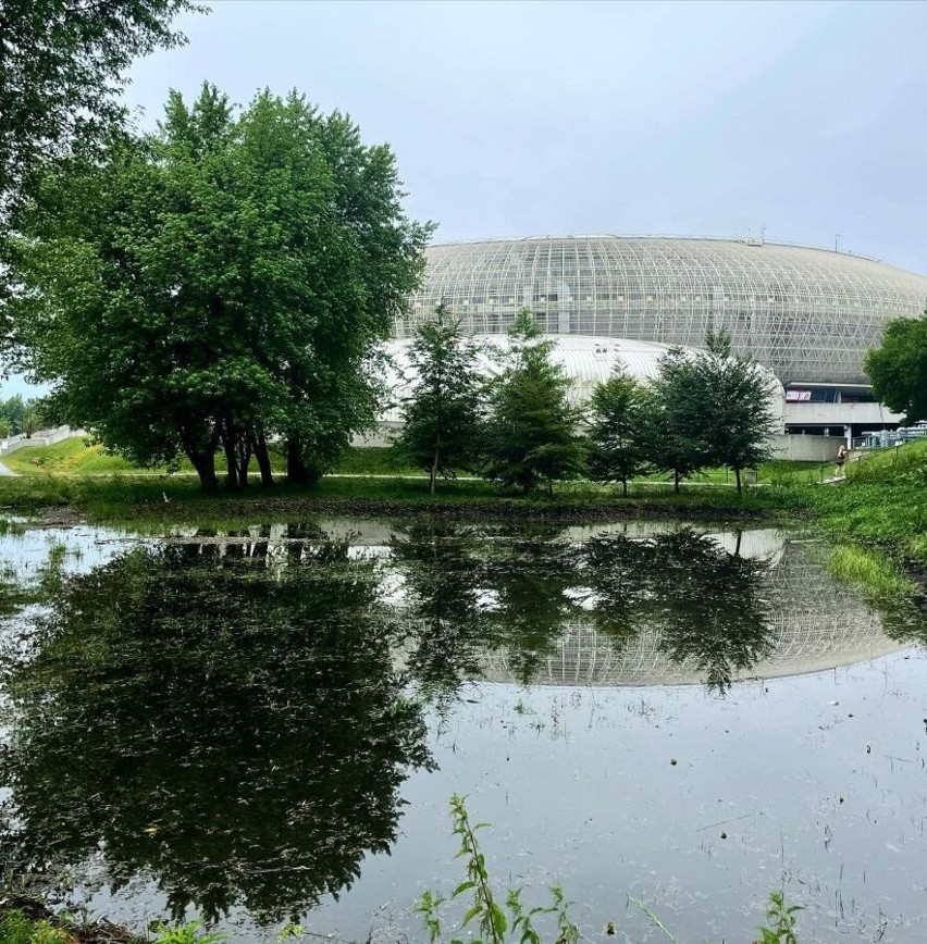 Po burzy w parku Lotników Polskich powstał... nowy staw