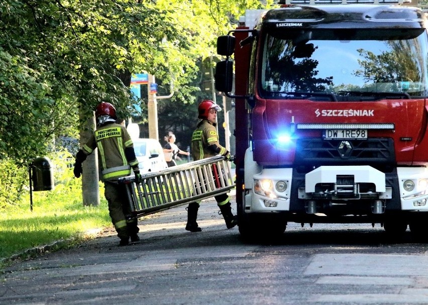 Akcja straży pożarnej w parku Szczytnickim we Wrocławiu...