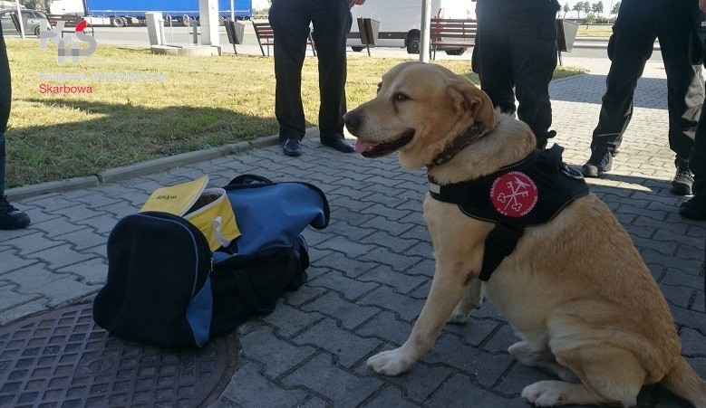 Graffi był w służbie od 13 lat. Podbił w tym czasie serca...