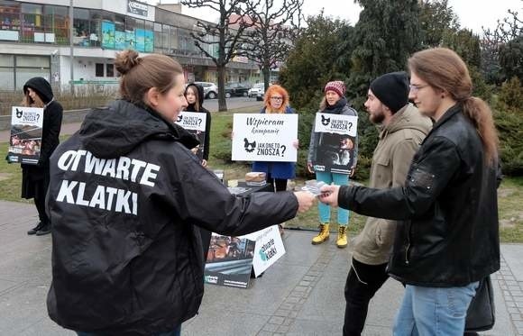 Stowarzyszenie Otwarte Klatki walczy o prawa zwierząt.