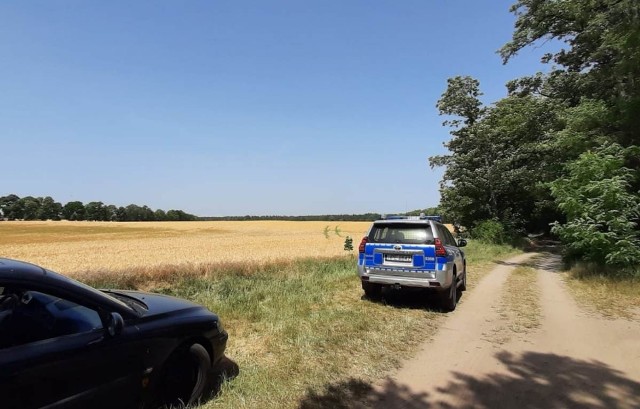 W poszukiwania zaangażowały się prawie wszystkie słuzby