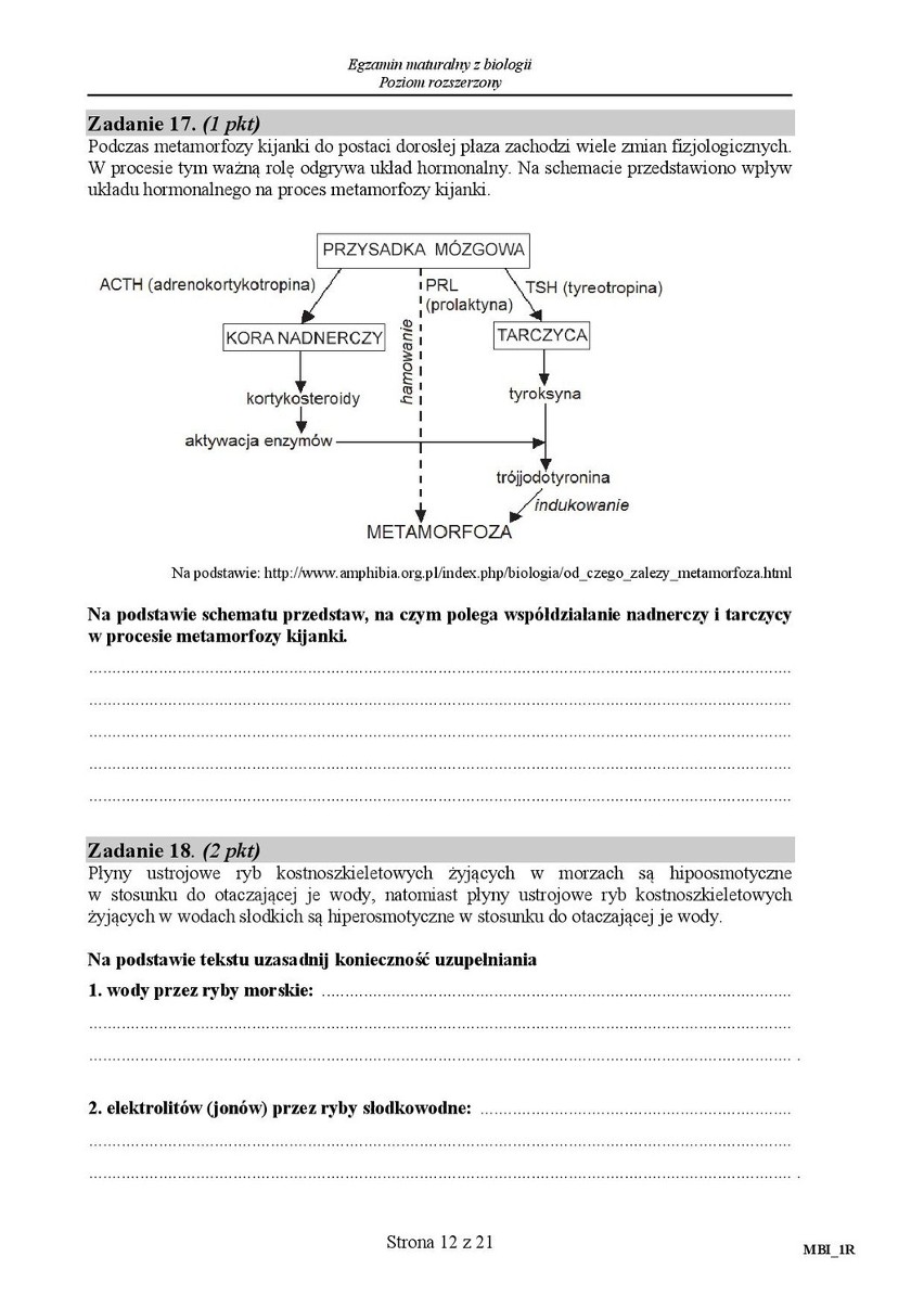 Stara matura 2016: Biologia rozszerzona [ODPOWIEDZI, ARKUSZ...