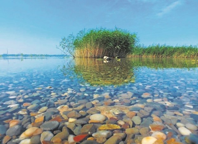 Na trzecim miejscu znalazło się zdjęcie Olgi Rogalskiej, której fotografia ujęła komisję niezwykle barwną kolorystyką.