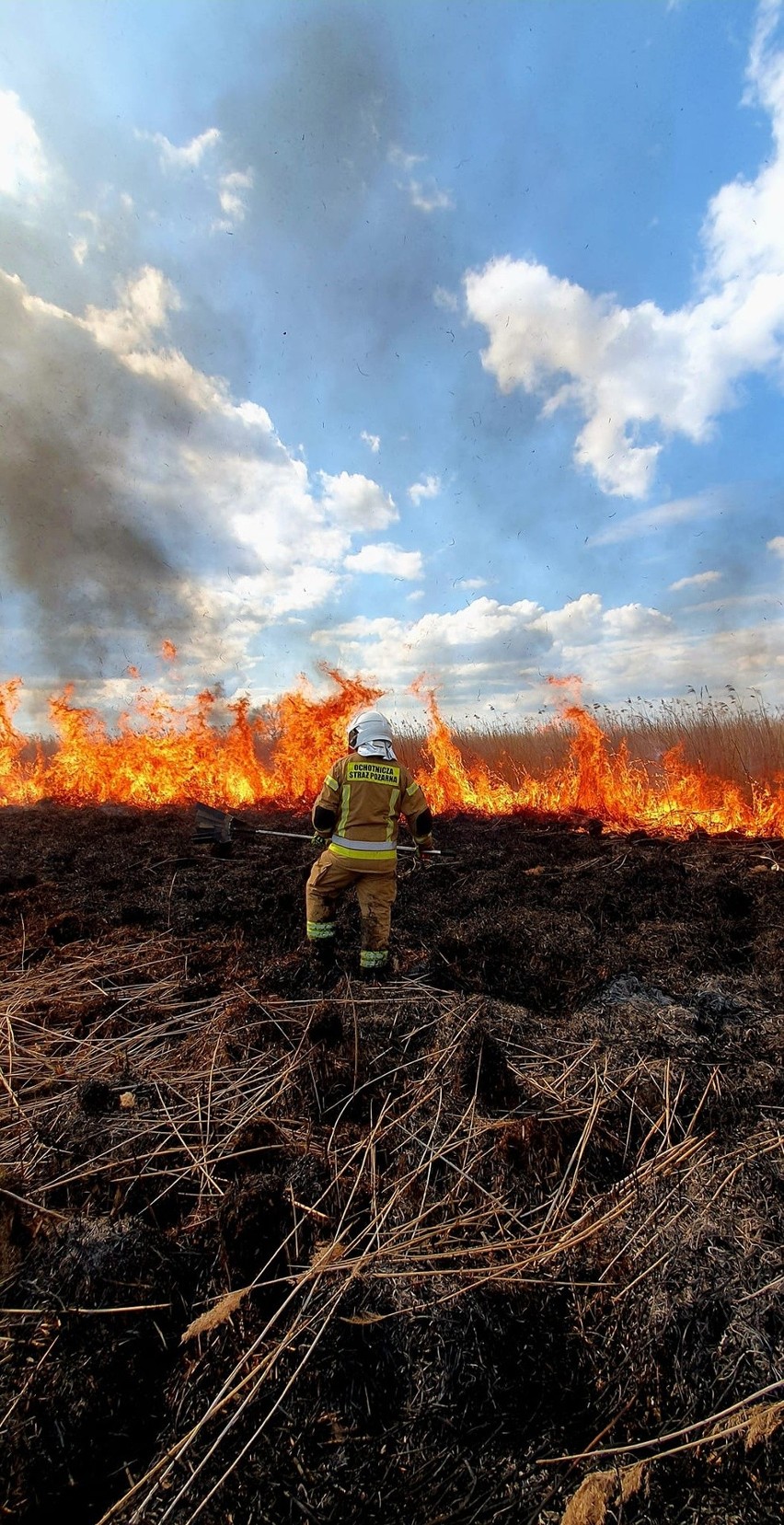 Kilkudziesięciu strażaków walczyło z pożarem trzcinowisk
