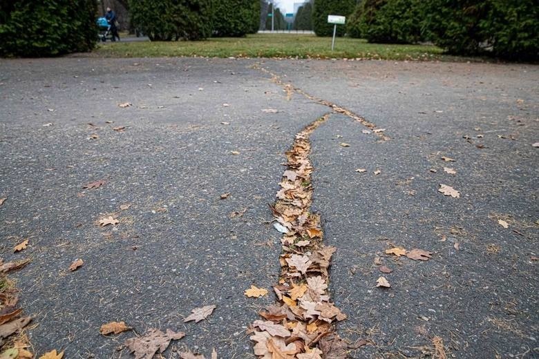 Tak wyglądają popękane alejki na Plantach.