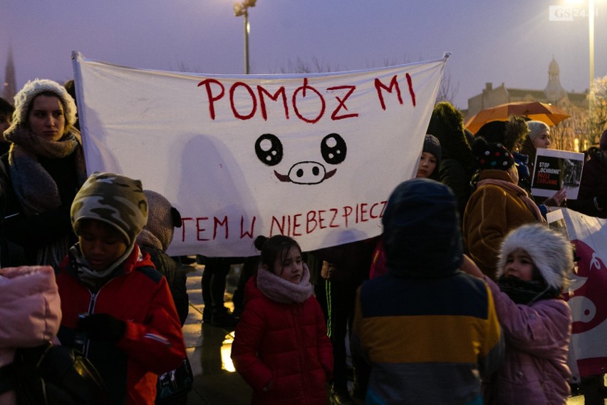 Szczecinianie protestują przeciw odstrzałowi dzików. "To barbarzyńskie rozporządzenie!" [ZDJĘCIA, WIDEO]