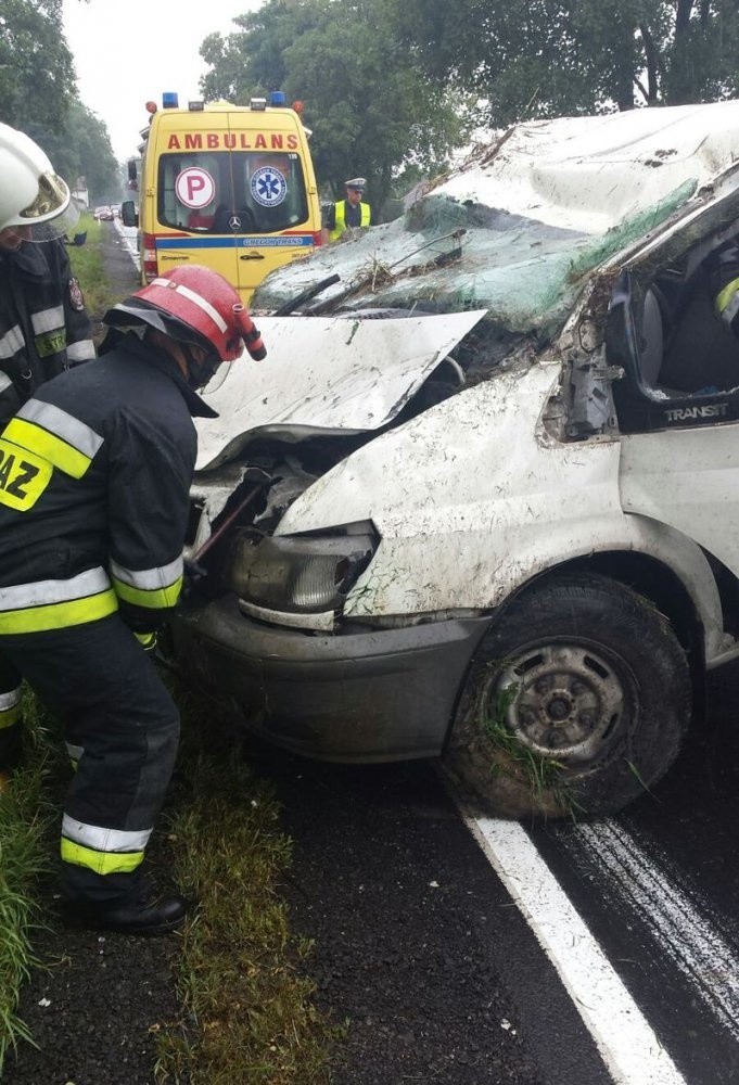 Pijani kierowcy byli sprawcami zdarzeń drogowych.