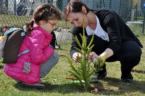 Święto Drzewa w Tarnowie Podgórnym. Dzieci posadziły 150 drzew