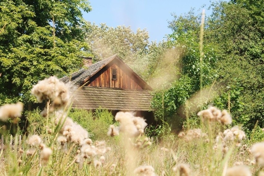 W chorzowskim skansenie szykują się nowe inwestycje