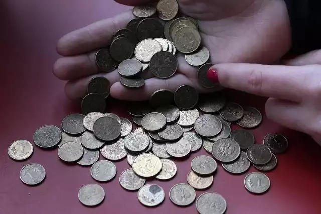 NBP podał, ile monet wchodzi na kilogram: 1 gr, 2 gr, 5 gr, 10 gr, 20 gr , 50 gr, 1 zł, 2 zł i 5 zł