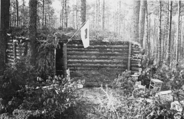 Leśny bunkier żołnierzy organizacji "Gryf". Więcej na kolejnych zdjęciach
