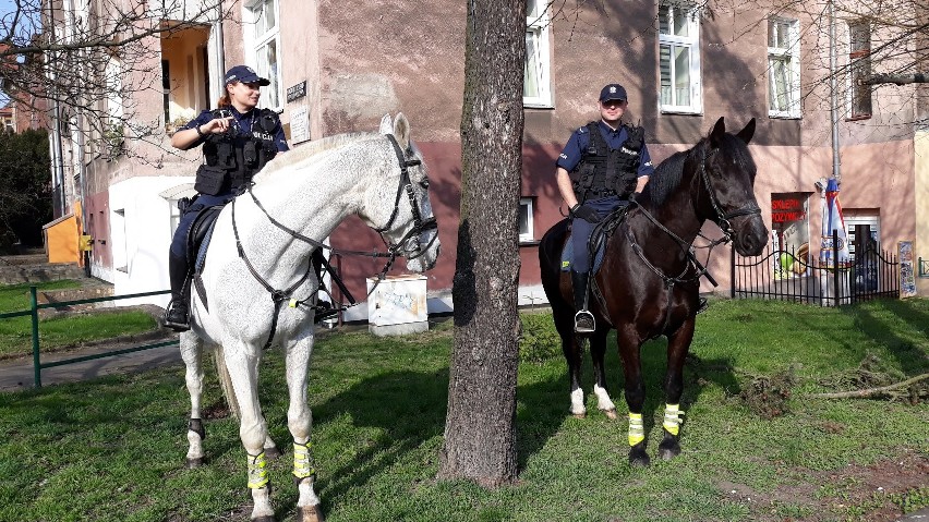 Patrole konne pojawiły się na ulicach Szczecina [ZDJĘCIA]