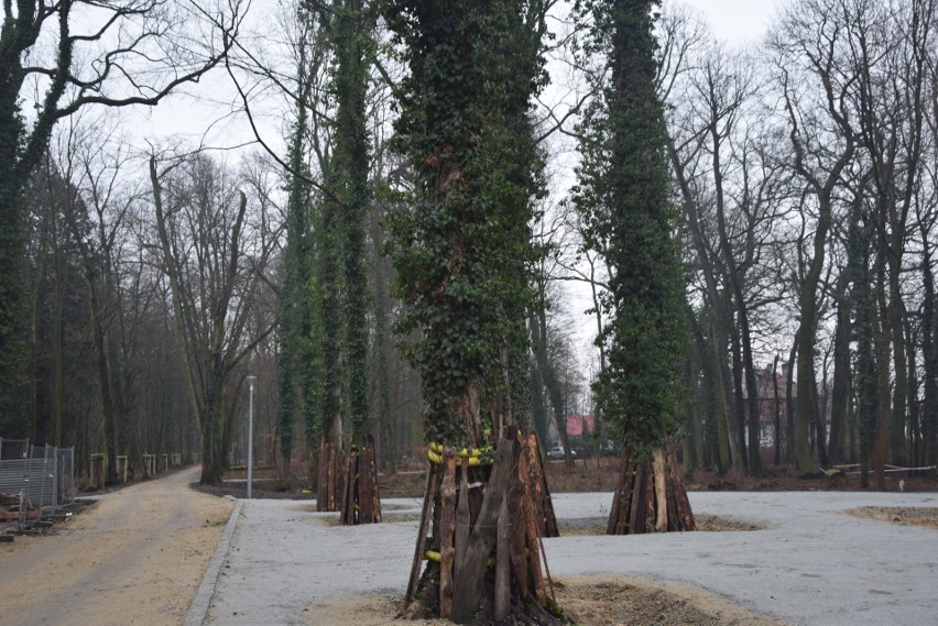 Pałac i park w Zielonej Górze Zatoniu - stan robót - 6...