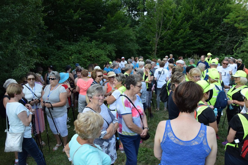 Marsz nordic walking w Zawierciu