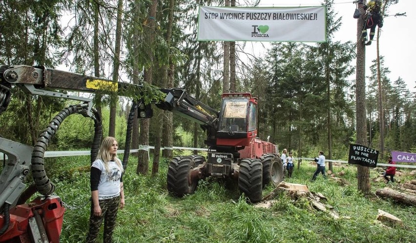 Trybunał Sprawiedliwości zakazał dalszej wycinki drzew w...