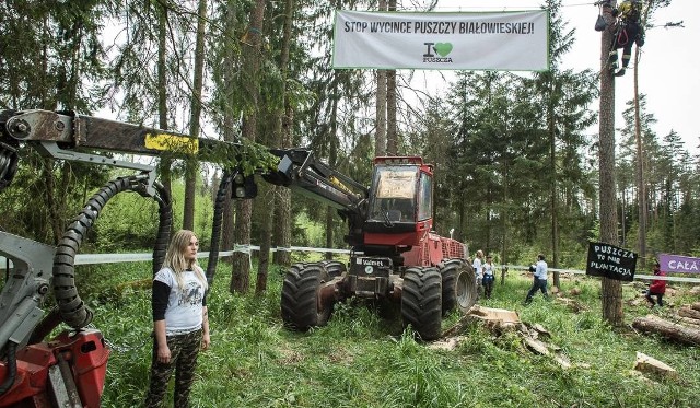 Trybunał Sprawiedliwości zakazał dalszej wycinki drzew w Puszczy Białowieskiej. Za niezastosowanie się do orzeczenia, na Polskę zostanie nałożona kara w wysokości 100 tys. euro dziennie.