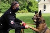 Policja z Tarnobrzega ma nowego psa - speca od materiałów wybuchowych! (ZDJĘCIA)