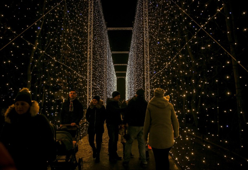 Od 1 grudnia udostępnione będą iluminacje w Parku Oliwskim:...