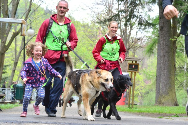 W Rymanowie-Zdroju odbyła się trzecia edycja zawodów dogtrekkingowych pn. 4 seasons Razem z psem.