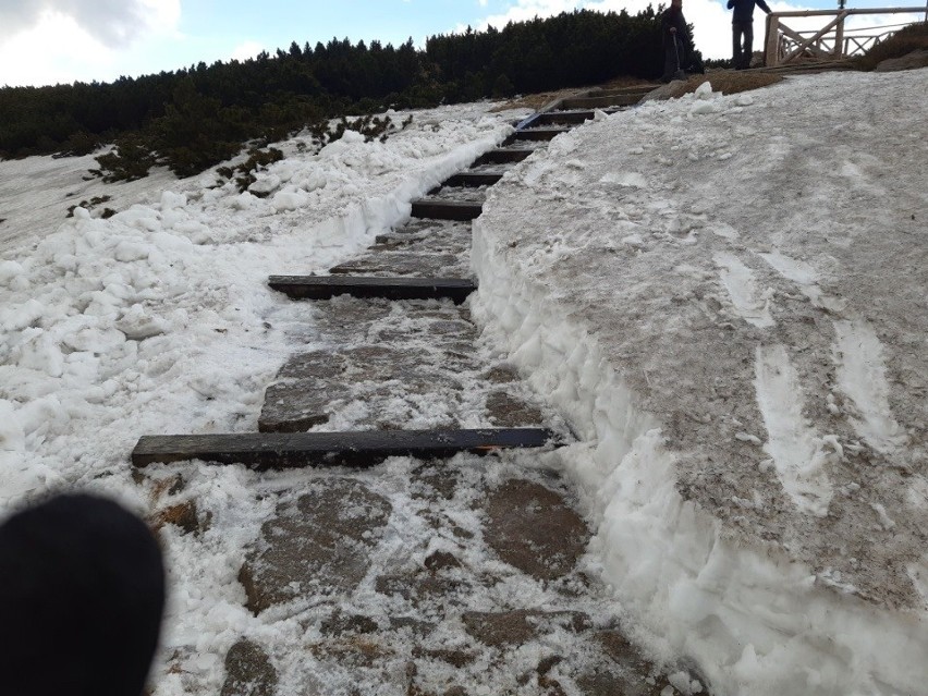 Przekopali śnieg na szlaku na Śnieżkę. Popularna droga już otwarta (ZDJĘCIA)