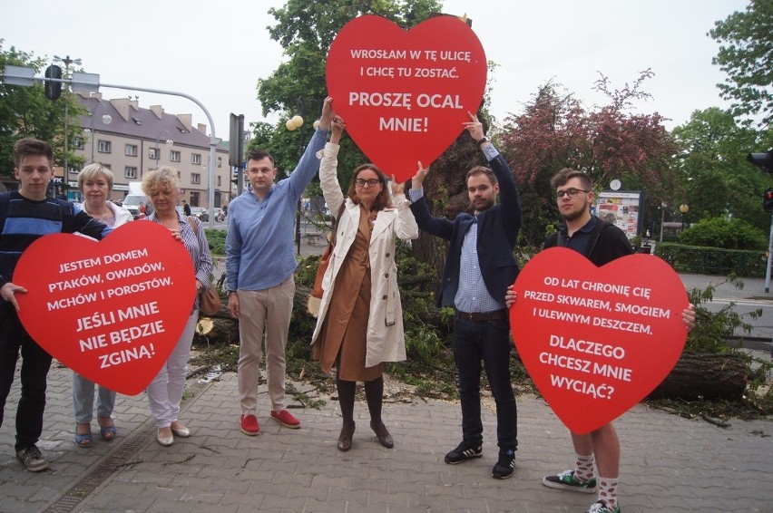 Protest przeciwko wycince drzew w Radomsku