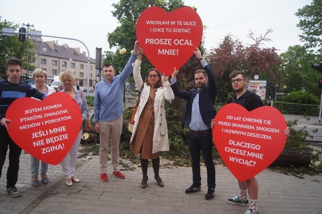 Protest przeciwko wycince drzew w Radomsku