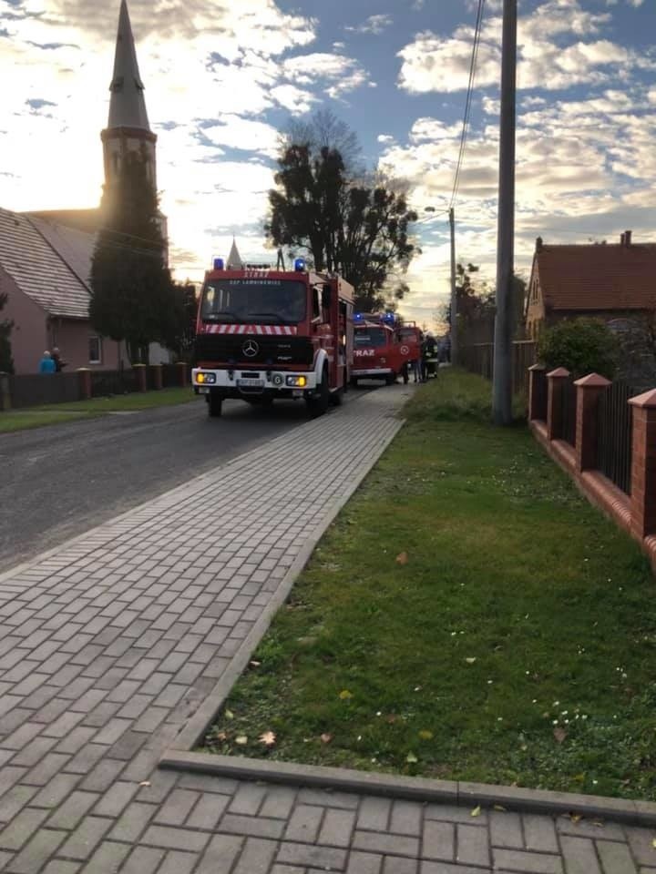 Wierzbiec w gminie Łambinowice. 8-letnią dziewczynkę pogryzł pies. Jej życiu nic nie zagraża