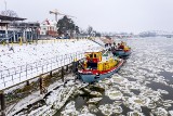 Lodołamacze na patrolu po Dolnej Wiśle. Zobacz zdjęcia z drona