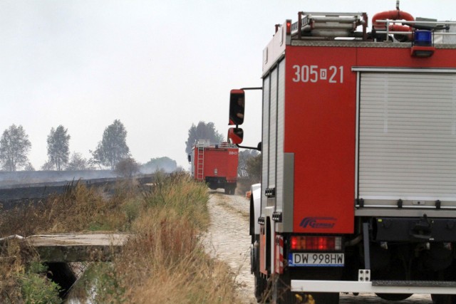 Kilka pożarów wyjeżdżali gasić strażacy.