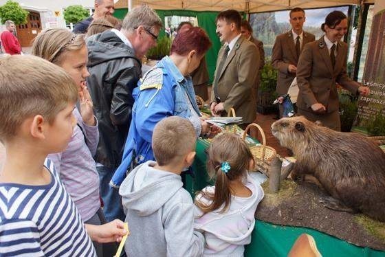 Przy stoiska edukacyjnych Nadleśnictwa Woziwoda zawsze są tłumy