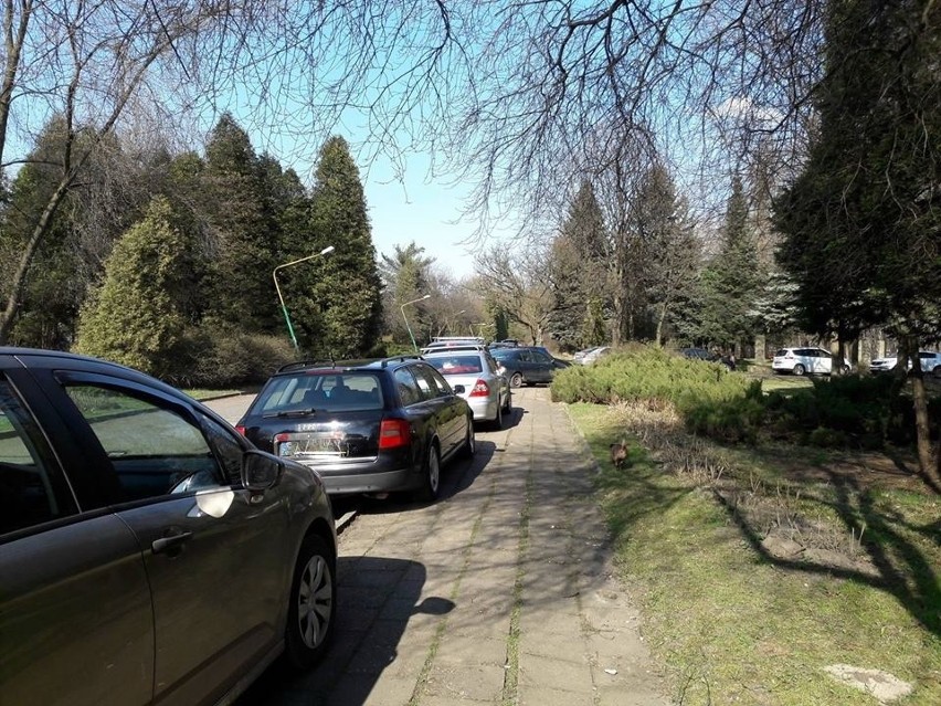 Sosnowiec: kłopot z parkowaniem przy parku w Kazimierzu
