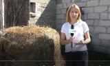 Agro Pomorska odcinek 34. U rolników po nawałnicy, o żniwach, suszy i pomocy [wideo]