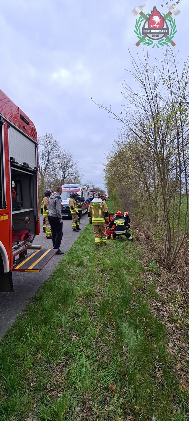 Powiat stargardzki. Wypadek drogowy między gminami Marianowo i Dobrzany. Auto wjechało do rowu i uderzyło w drzewo, kierująca została ranna 