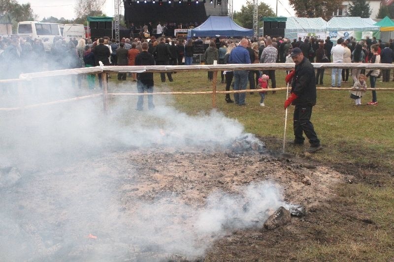 Święto ziemniaka w Dębnie koło Rakowa