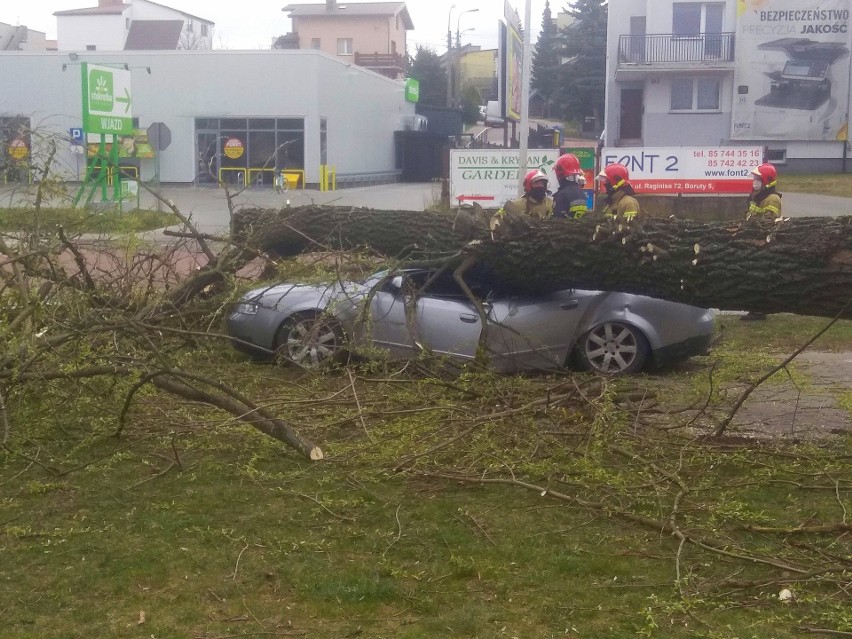 Na ulicy Raginisa w Białymstoku silny wiatr przewrócił...