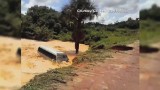 Autobus pochłonięty przez powódź w Brazylii [VIDEO]