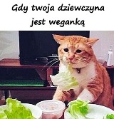 Najlepsze memy o wegetarianach. Światowy Dzień Wegetarian jest dziś. Jesteście wśród nich?