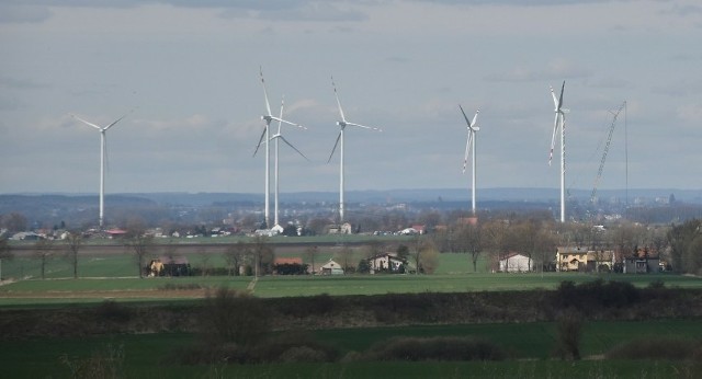 W powiecie malborskim firma Polenergia wybudowała już farmę wiatrową w gminie Miłoradz.