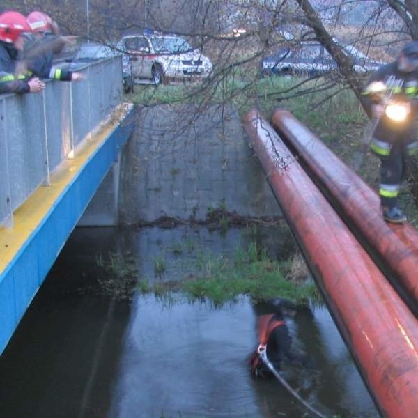 Strażacy przeszukiwali dno rzeki Mlecznej przy mostku na ulicy Suchej.