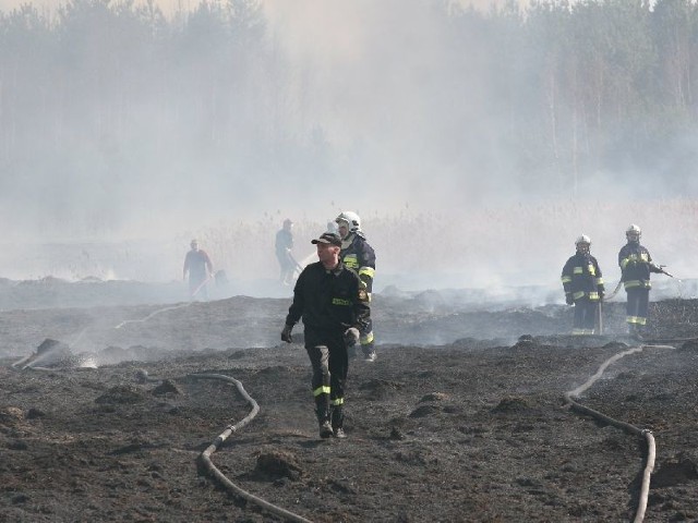 Od palącej się suchej trawy bardzo często płonie las. Tak było rok temu między innymi w Zabrniu i Sokolnikach.