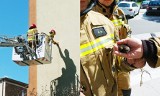 Strażacy uratowali jerzyka, który utknął w wieżowcu [ZDJĘCIA]