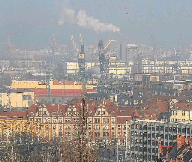 Głównymi czynnikami powstawania chmury zanieczyszczeń mogą być ciepłownie, zakłady produkcyjne i samochody poruszające się po miastach