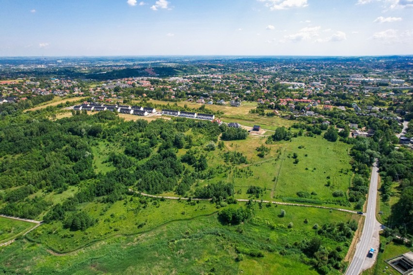 W Krakowie ma powstać nowy park leśny.
