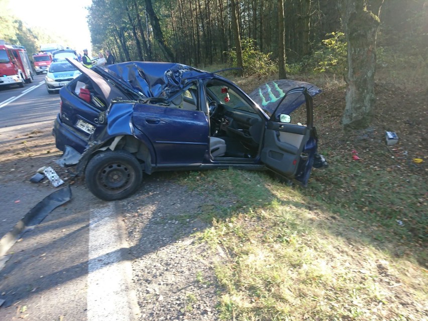 Horodnianka. Audi uderzyło w drzewo. Dwie osoby ranne [ZDJĘCIA]