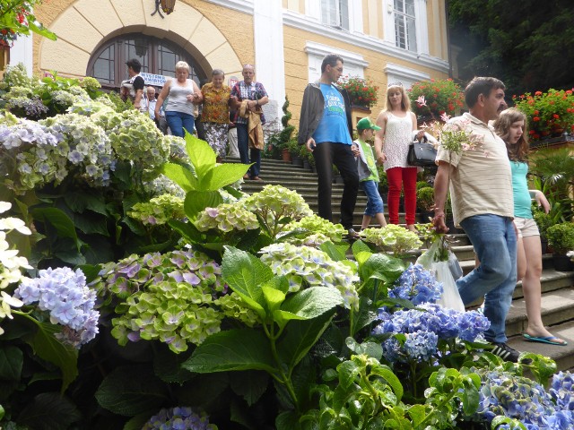 Tysiące roślin, ale przede wszystkim kwiatów. To właśnie wabi wszystkich turystów do Otmuchowa.
