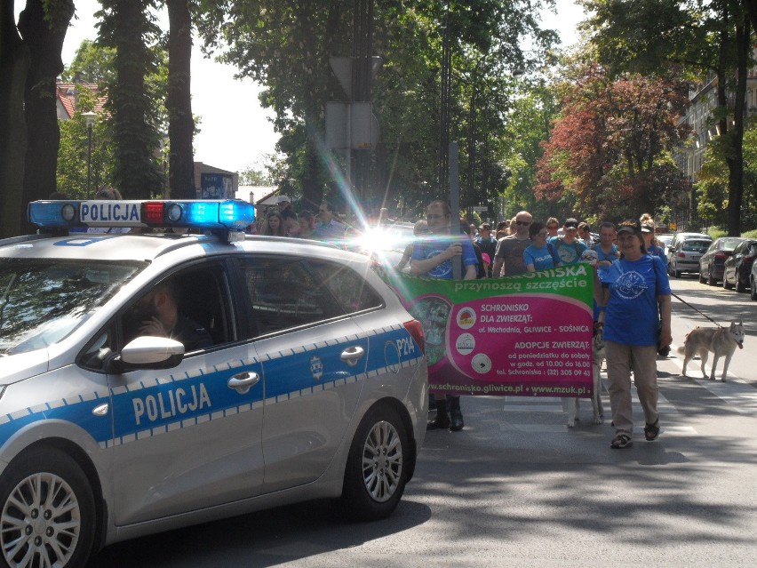 Gliwicki spacer szczęścia z psami ze schroniska dla...