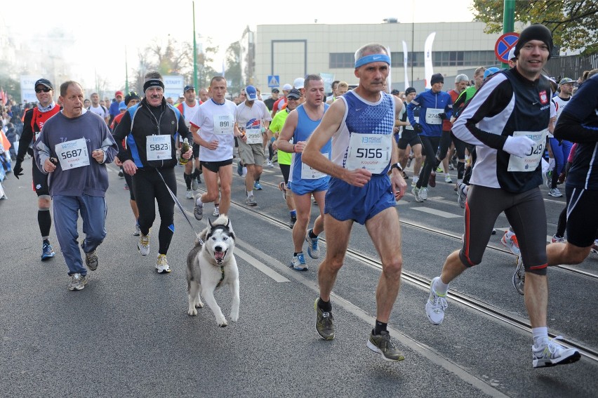 Poznań Półmaraton 2016: Najlepsze zdjęcia z poprzednich lat...