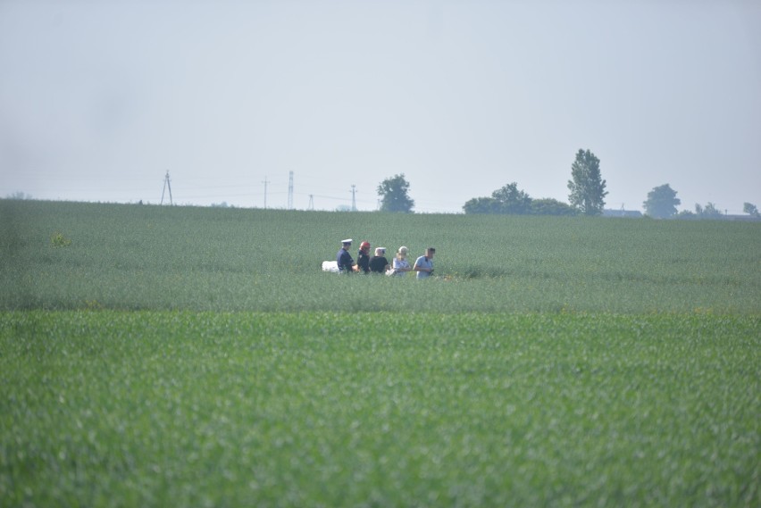 Tragiczny wypadek paralotniarza pod Włocławkiem [zdjęcia]