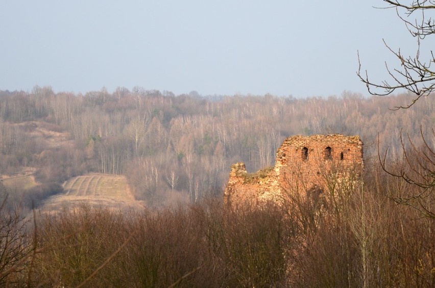 Ruiny zamku Esterki w Bochotnicy mają szansę stać się atrakcją turystyczną Lubelszczyzny 