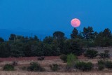 Truskawkowy Księżyc 2022. Kiedy i jak obserwować niezwykłą pełnię Księżyca? To będzie superksiężyc